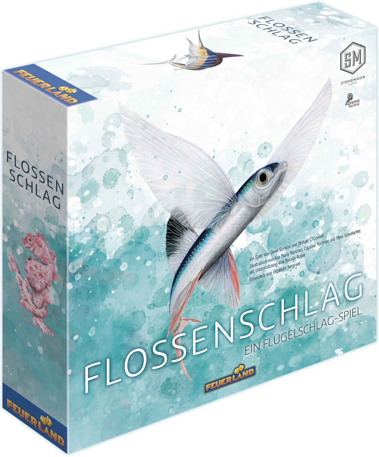 FEU31052 Flossenschlag 1