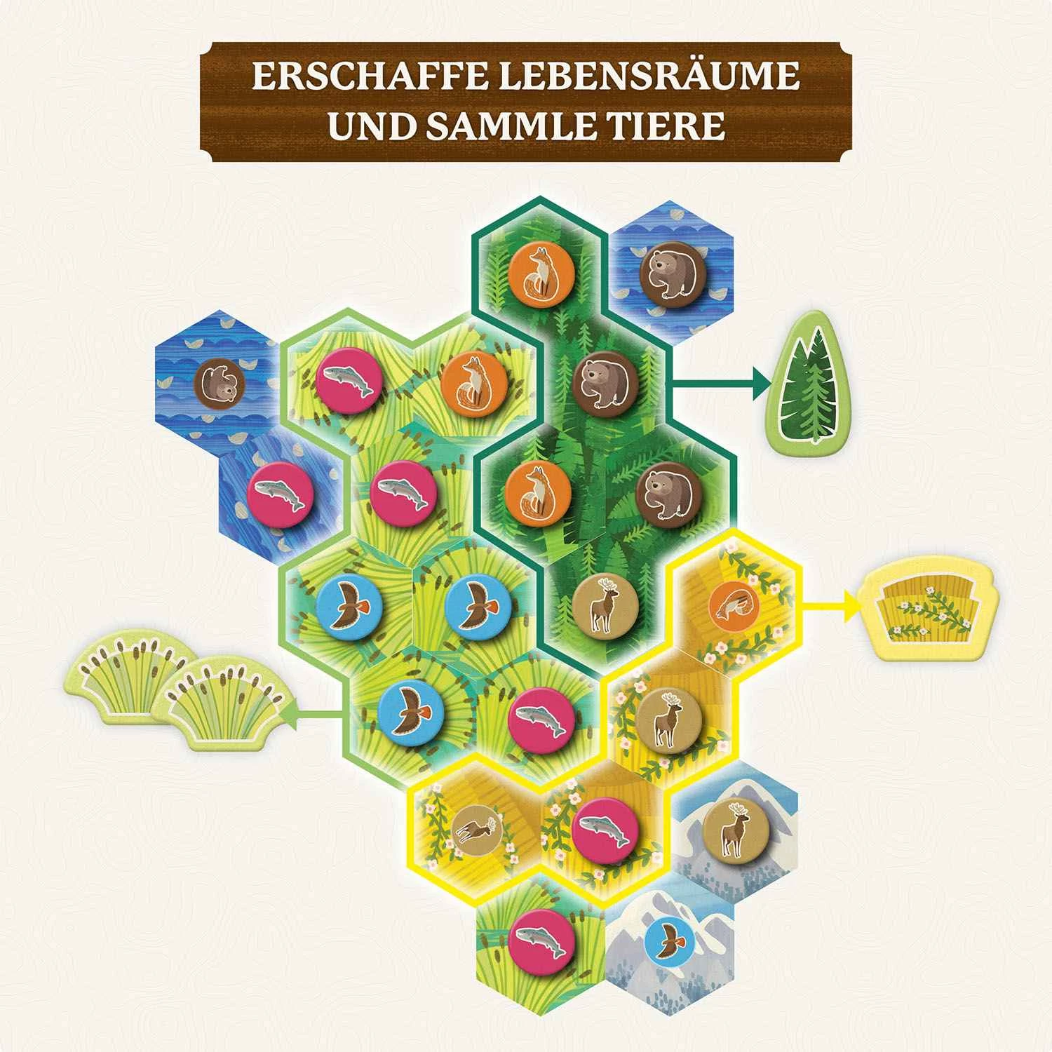 4002051684884 Kosmos Cascadia Junior – Legespiel für 2–4 Personen ab 6 Jahren 6