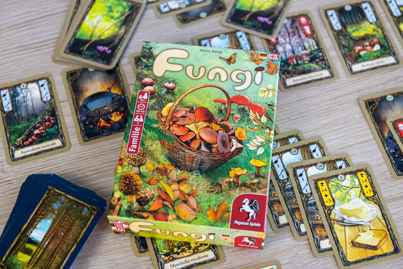18113G Fungi 4