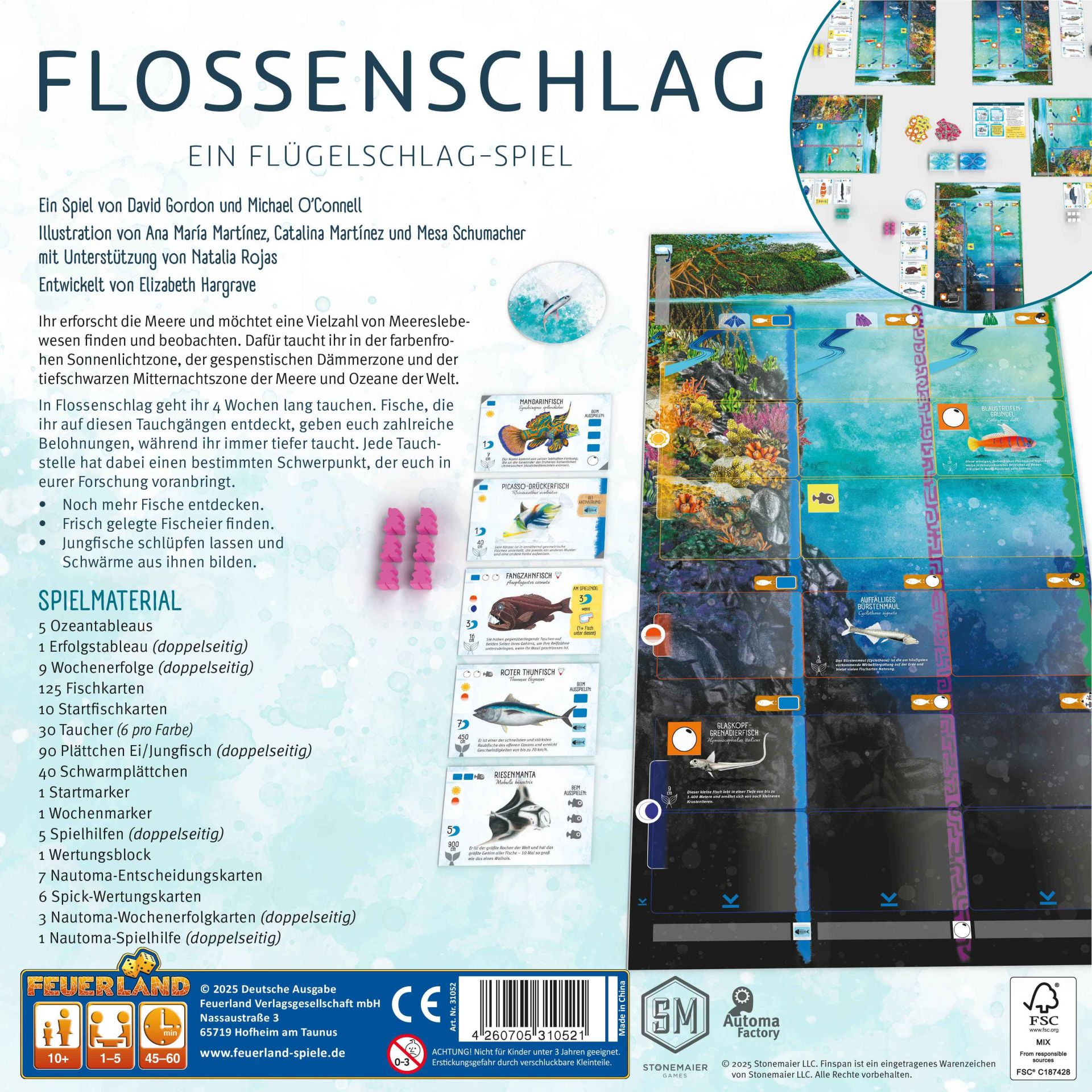 FEU31052 Flossenschlag 3